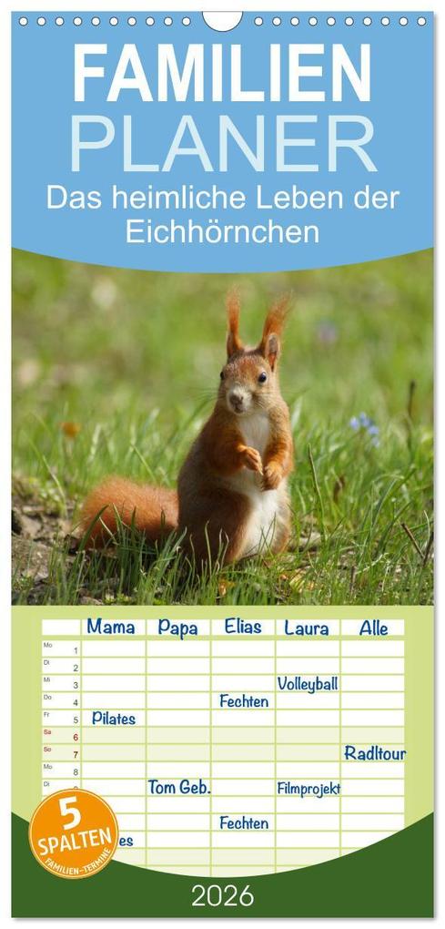 Familienplaner 2026 - Das heimliche Leben der Eichhörnchen mit 5 Spalten (Wandkalender 21 x 45 cm) CALVENDO