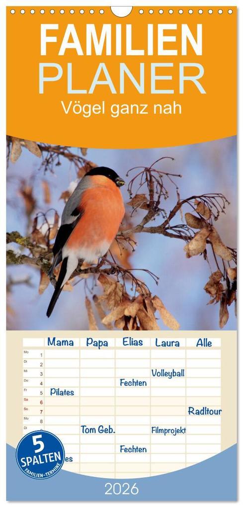 Familienplaner 2026 - Vögel ganz nah mit 5 Spalten (Wandkalender 21 x 45 cm) CALVENDO