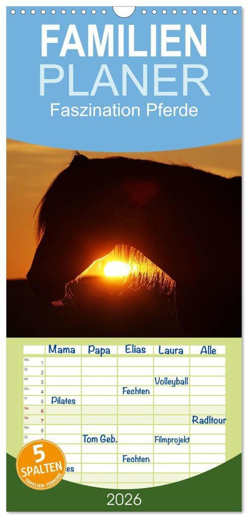 Familienplaner 2026 - Faszination Pferde mit 5 Spalten (Wandkalender 21 x 45 cm) CALVENDO