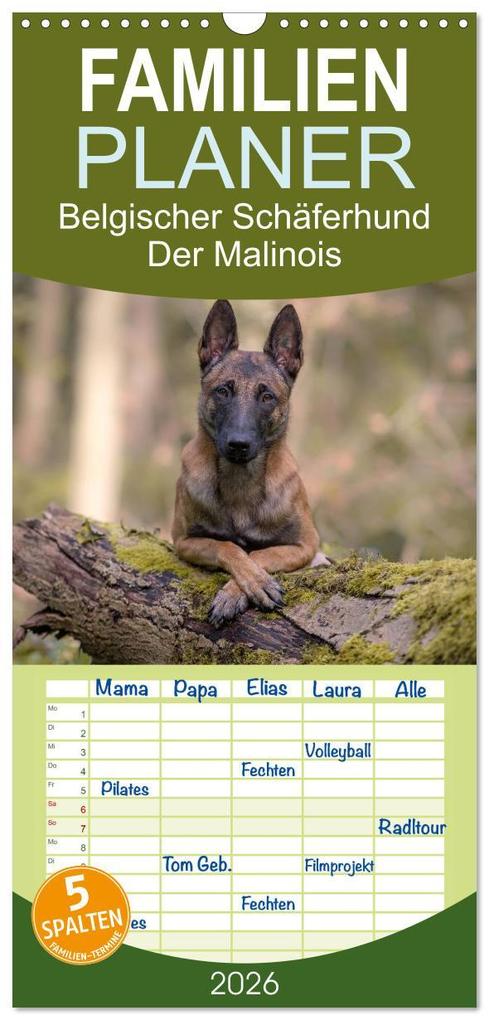 Familienplaner 2026 - Belgischer Schäferhund - Der Malinois mit 5 Spalten (Wandkalender 21 x 45 cm) CALVENDO