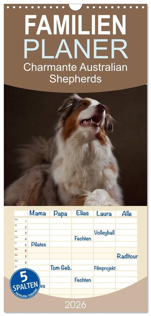 Familienplaner 2026 - Charmante Australian Shepherds mit 5 Spalten (Wandkalender 21 x 45 cm) CALVENDO