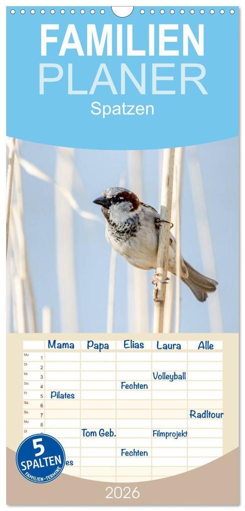 Familienplaner 2026 - Spatzen mit 5 Spalten (Wandkalender 21 x 45 cm) CALVENDO