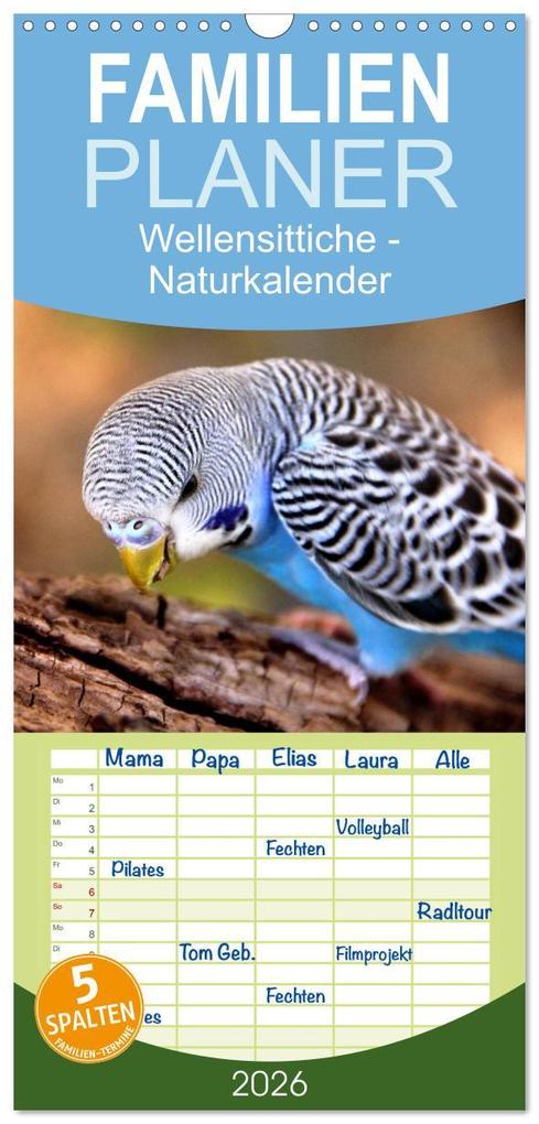 Familienplaner 2026 - Wellensittiche - Naturkalender mit 5 Spalten (Wandkalender 21 x 45 cm) CALVENDO