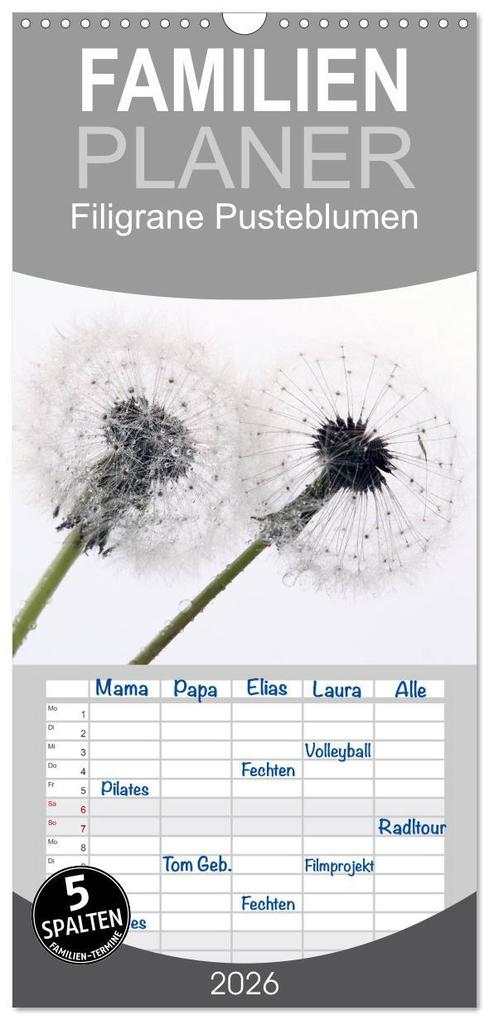 Familienplaner 2026 - Filigrane Pusteblumen / Geburtstagskalender mit 5 Spalten (Wandkalender 21 x 45 cm) CALVENDO