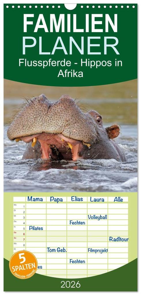 Familienplaner 2026 - Flusspferde Magie des Augenblicks - Hippos in Afrika mit 5 Spalten (Wandkalender 21 x 45 cm) CALVENDO