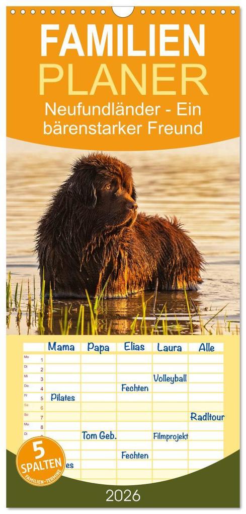 Familienplaner 2026 - Neufundländer - Ein bärenstarker Freund mit 5 Spalten (Wandkalender 21 x 45 cm) CALVENDO