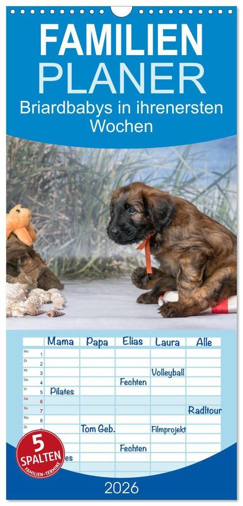 Familienplaner 2026 - Briardbabys in ihren ersten Wochen mit 5 Spalten (Wandkalender 21 x 45 cm) CALVENDO