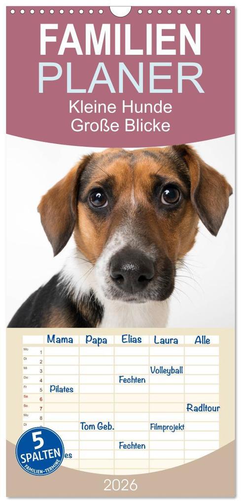 Familienplaner 2026 - Kleine Hunde - Große Blicke mit 5 Spalten (Wandkalender 21 x 45 cm) CALVENDO