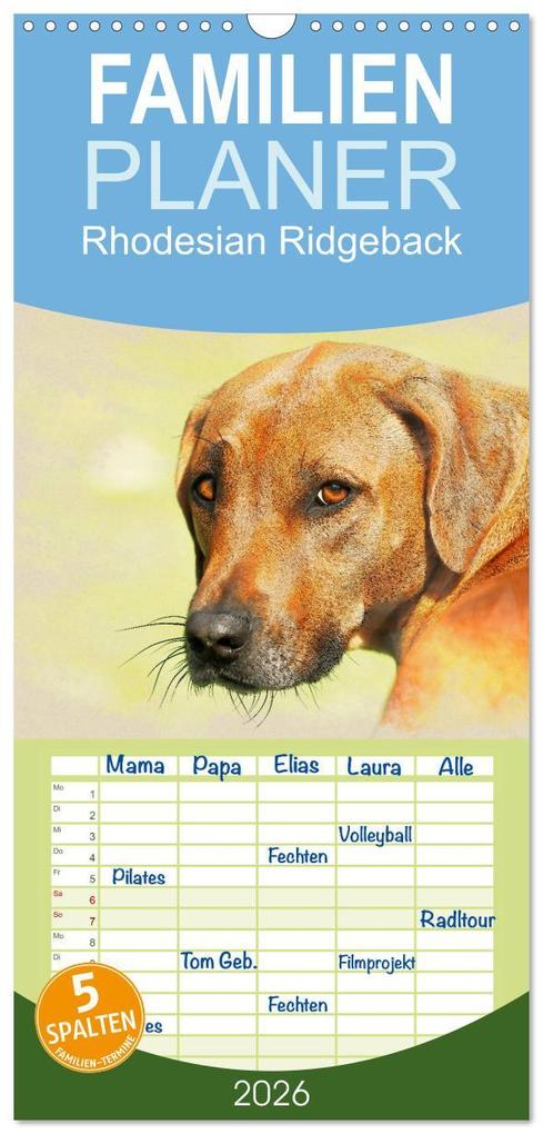 Familienplaner 2026 - Rhodesian Ridgeback 2026 mit 5 Spalten (Wandkalender 21 x 45 cm) CALVENDO