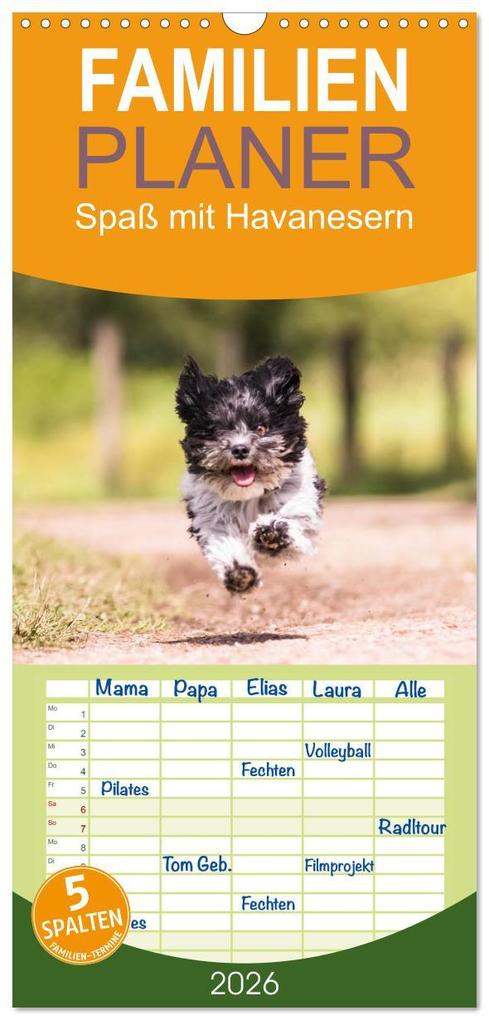 Familienplaner 2026 - Spaß mit Havanesern mit 5 Spalten (Wandkalender 21 x 45 cm) CALVENDO