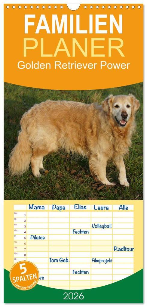 Familienplaner 2026 - Golden Retriever Power mit 5 Spalten (Wandkalender 21 x 45 cm) CALVENDO