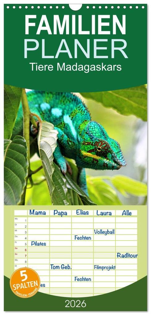 Familienplaner 2026 - Tiere Madagaskars mit 5 Spalten (Wandkalender 21 x 45 cm) CALVENDO