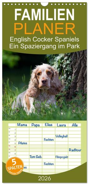 Familienplaner 2026 - English Cocker Spaniels - Ein Spaziergang im Park mit 5 Spalten (Wandkalender 21 x 45 cm) CALVENDO