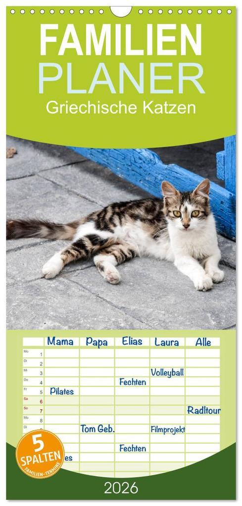 Familienplaner 2026 - Griechische Katzen mit 5 Spalten (Wandkalender 21 x 45 cm) CALVENDO
