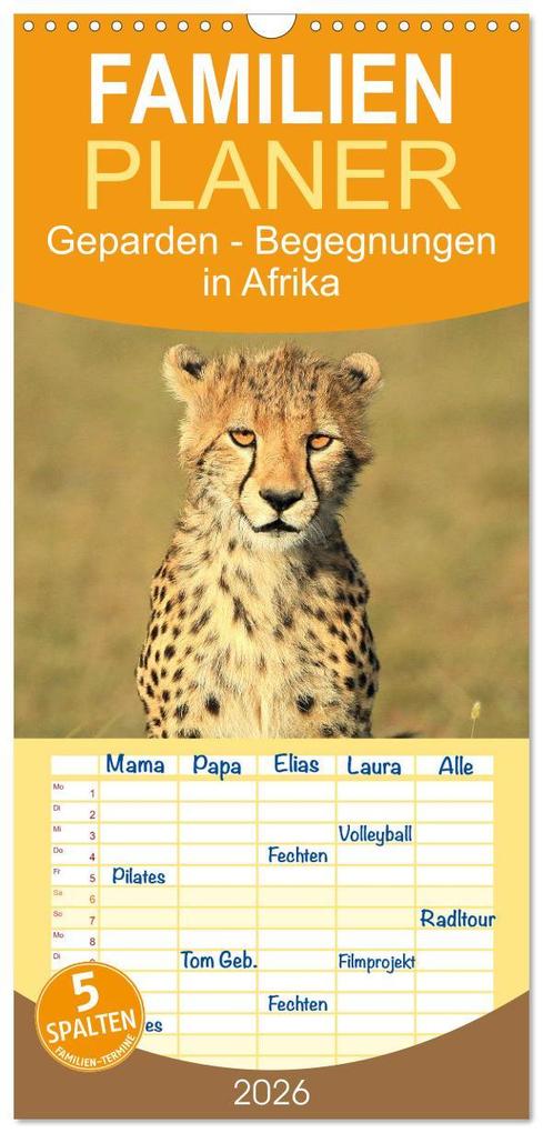 Familienplaner 2026 - Geparden - Begegnungen in Afrika mit 5 Spalten (Wandkalender 21 x 45 cm) CALVENDO