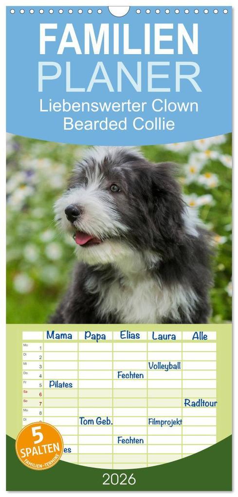 Familienplaner 2026 - Liebenswerter Clown Bearded Collie mit 5 Spalten (Wandkalender 21 x 45 cm) CALVENDO