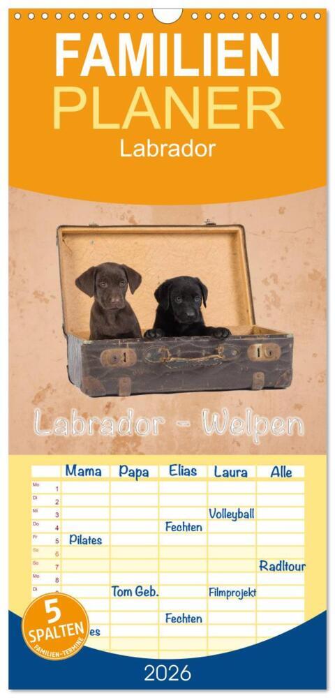 Familienplaner 2026 - Labrador - Welpen mit 5 Spalten (Wandkalender 21 x 45 cm) CALVENDO