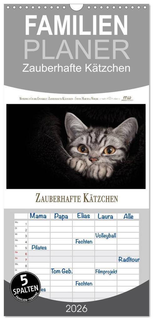 Familienplaner 2026 - Zauberhafte Kätzchen mit 5 Spalten (Wandkalender 21 x 45 cm) CALVENDO