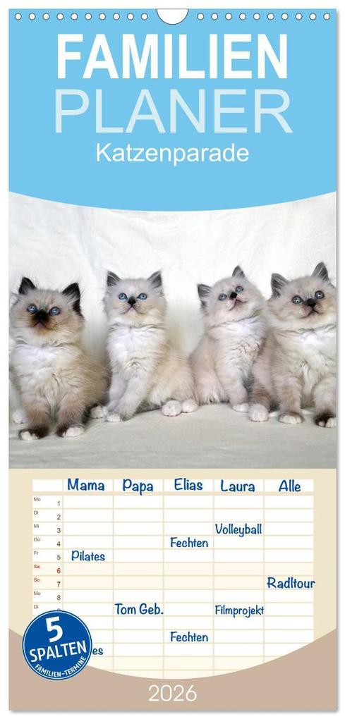 Familienplaner 2026 - Katzenparade mit 5 Spalten (Wandkalender 21 x 45 cm) CALVENDO