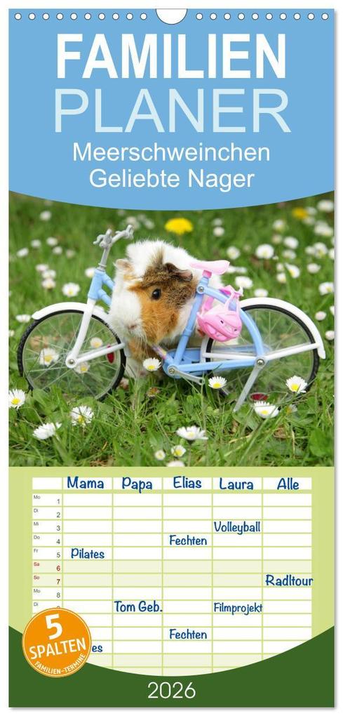 Familienplaner 2026 - Meerschweinchen. Geliebte Nager mit 5 Spalten (Wandkalender 21 x 45 cm) CALVENDO