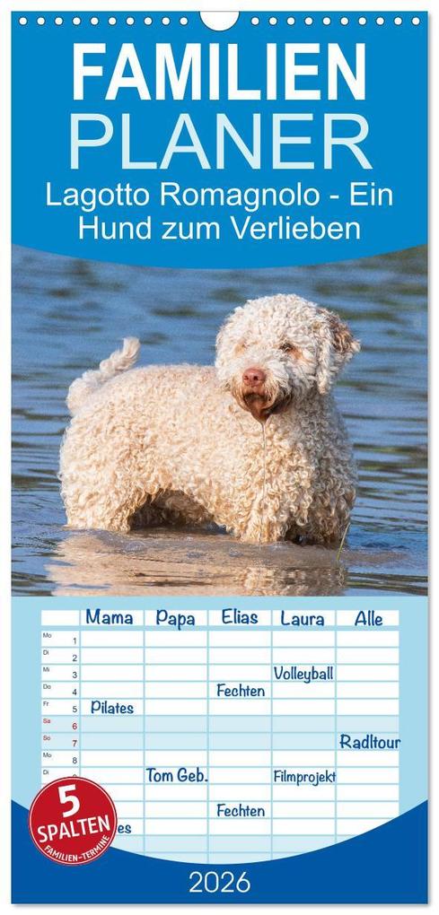Familienplaner 2026 - Lagotto Romagnolo - Ein Hund zum Verlieben mit 5 Spalten (Wandkalender 21 x 45 cm) CALVENDO
