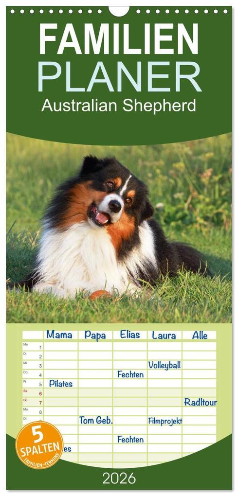 Familienplaner 2026 - Australian Shepherd - Hütehunde mit Familienanschluss mit 5 Spalten (Wandkalender 21 x 45 cm) CALVENDO