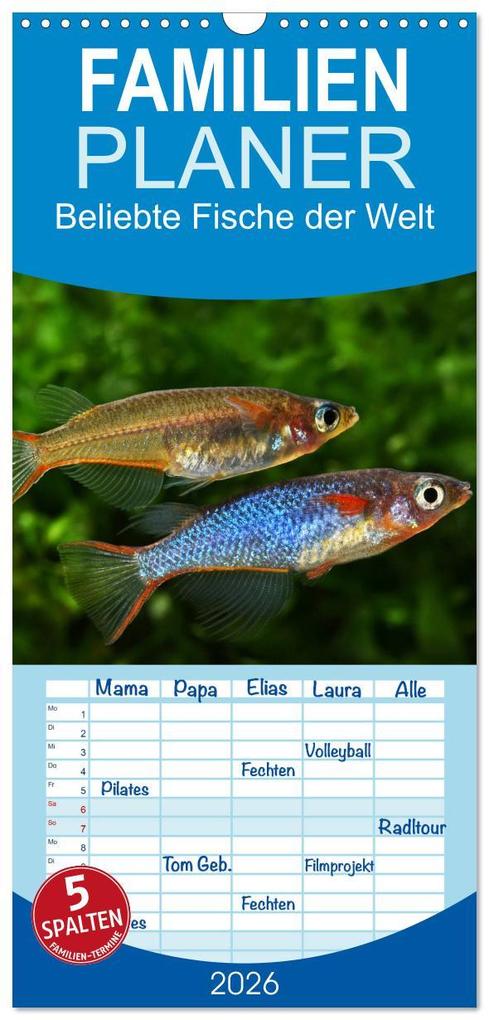 Familienplaner 2026 - Beliebte Fische der Welt mit 5 Spalten (Wandkalender 21 x 45 cm) CALVENDO