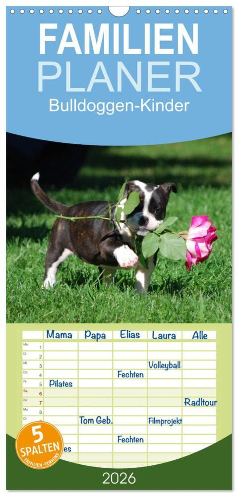 Familienplaner 2026 - Bulldoggen-Kinder mit 5 Spalten (Wandkalender 21 x 45 cm) CALVENDO