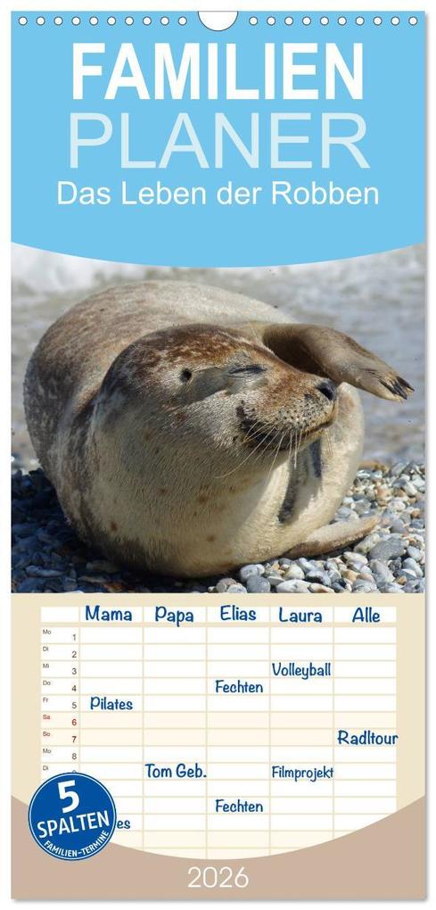 Familienplaner 2026 - Das Leben der Robben mit 5 Spalten (Wandkalender 21 x 45 cm) CALVENDO