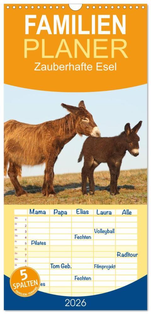 Familienplaner 2026 - Zauberhafte Esel mit 5 Spalten (Wandkalender 21 x 45 cm) CALVENDO