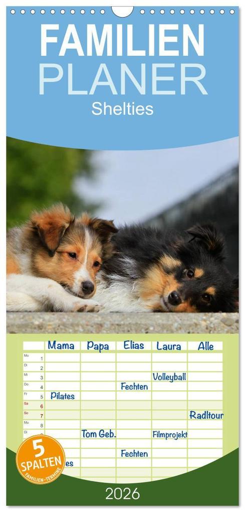 Familienplaner 2026 - Shelties 2026 mit 5 Spalten (Wandkalender 21 x 45 cm) CALVENDO
