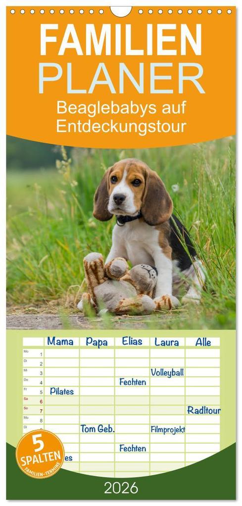 Familienplaner 2026 - Beaglebabys auf Entdeckungstour mit 5 Spalten (Wandkalender 21 x 45 cm) CALVENDO
