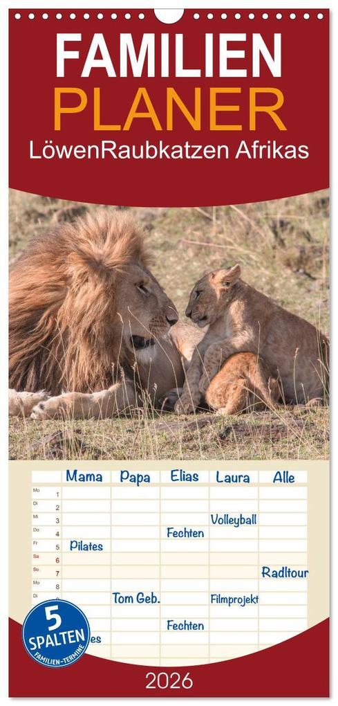 Familienplaner 2026 - Löwen - Raubkatzen Afrikas mit 5 Spalten (Wandkalender 21 x 45 cm) CALVENDO