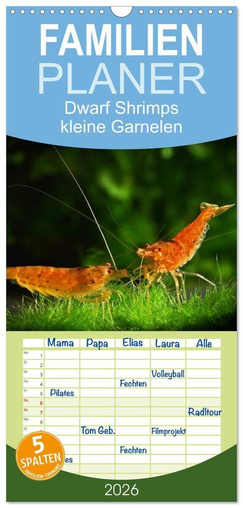 Familienplaner 2026 - Dwarf Shrimps - kleine Garnelen mit 5 Spalten (Wandkalender 21 x 45 cm) CALVENDO