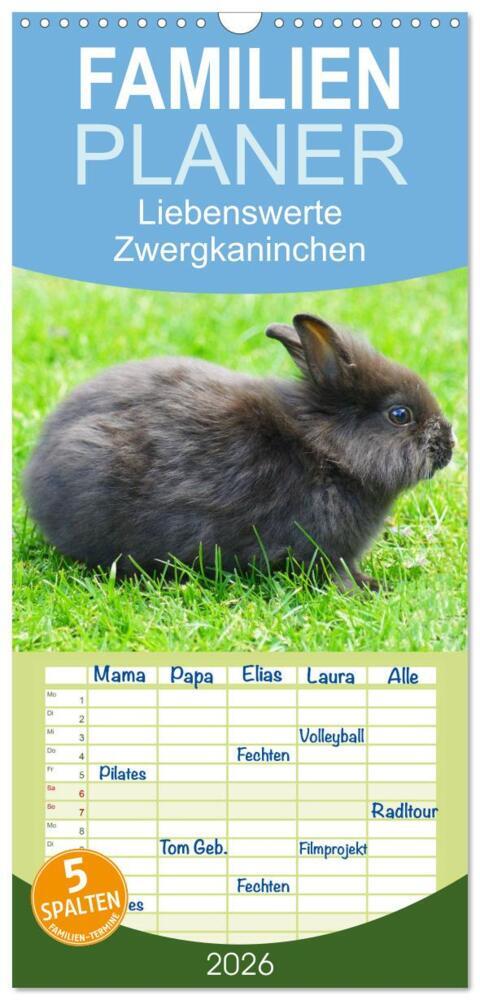 Familienplaner 2026 - Liebenswerte Zwergkaninchen mit 5 Spalten (Wandkalender 21 x 45 cm) CALVENDO