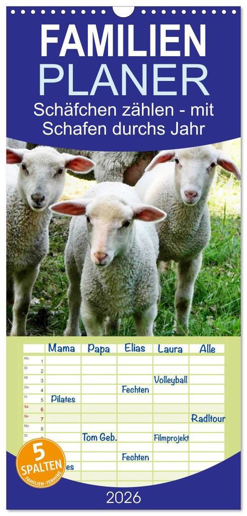 Familienplaner 2026 - Schäfchen zählen - mit Schafen durchs Jahr mit 5 Spalten (Wandkalender 21 x 45 cm) CALVENDO