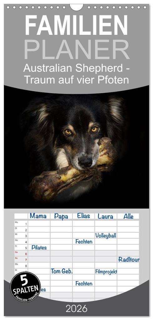 Familienplaner 2026 - Australian Shepherd - Traum auf vier Pfoten mit 5 Spalten (Wandkalender 21 x 45 cm) CALVENDO