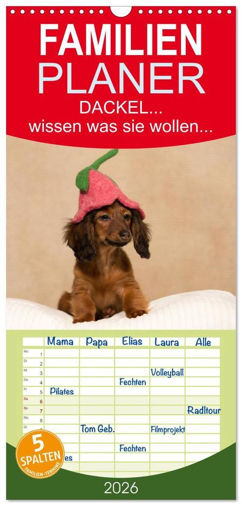 Familienplaner 2026 - DACKEL... wissen was sie wollen... (und was nicht...) mit 5 Spalten (Wandkalender 21 x 45 cm) CALVENDO