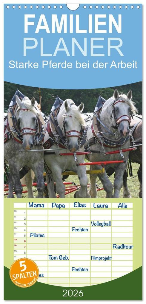 Familienplaner 2026 - Starke Pferde bei der Arbeit mit 5 Spalten (Wandkalender 21 x 45 cm) CALVENDO