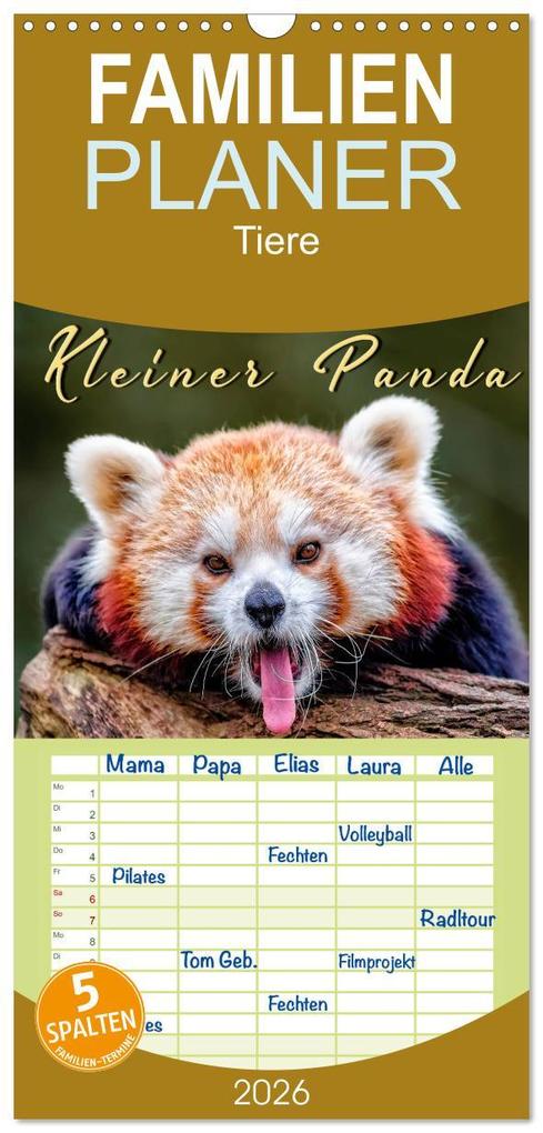 Familienplaner 2026 - Kleiner Panda mit 5 Spalten (Wandkalender 21 x 45 cm) CALVENDO