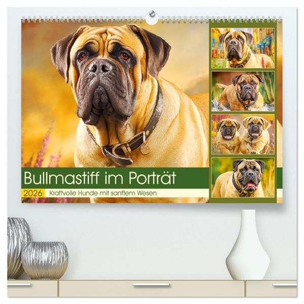 Bullmastiff im Porträt. Kraftvolle Hunde mit sanftem Wesen (hochwertiger Premium Wandkalender 2026 DIN A2 quer) Kunstdruck in Hochglanz