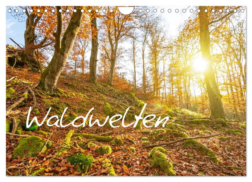 Waldwelten (Wandkalender 2026 DIN A4 quer) CALVENDO Monatskalender