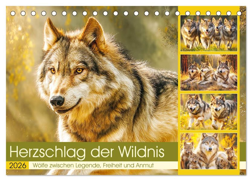 Herzschlag der Wildnis. Wölfe zwischen Legende Freiheit und Anmut (Tischkalender 2026 DIN A5 quer) CALVENDO Monatskalender