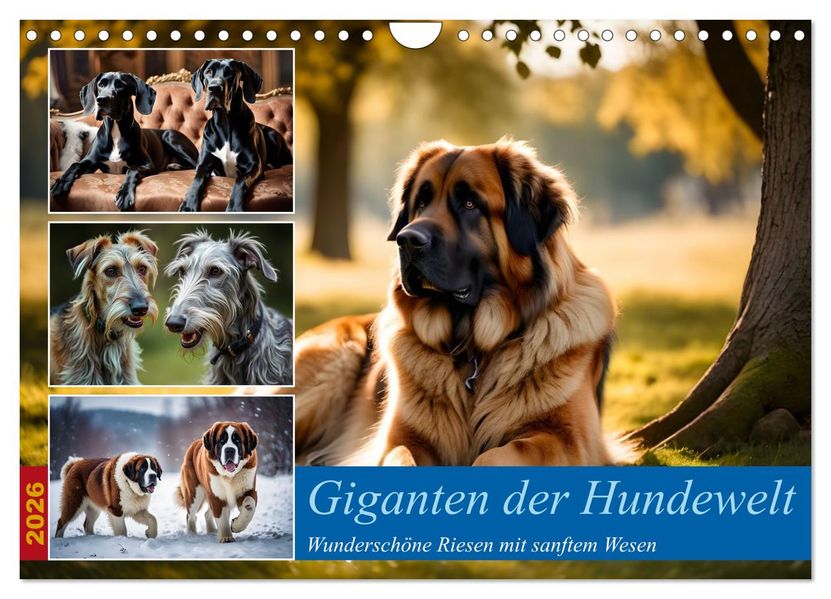 Giganten der Hundwelt (Wandkalender 2026 DIN A4 quer) CALVENDO Monatskalender