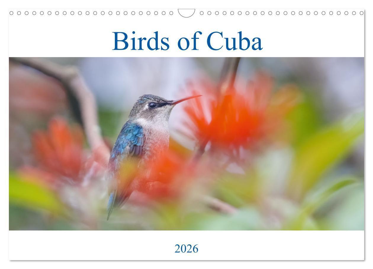 Birds of Cuba Island (Wall Calendar 2026 DIN A3 landscape) CALVENDO 12 Month Wall Calendar