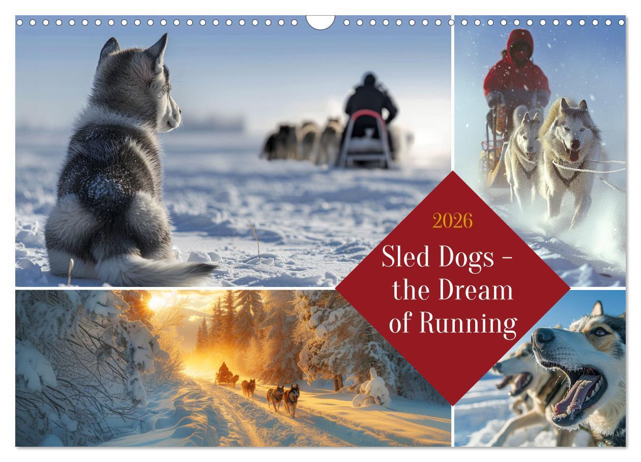 Sled Dogs - the Dream of Running (Wall Calendar 2026 DIN A3 landscape) CALVENDO 12 Month Wall Calendar