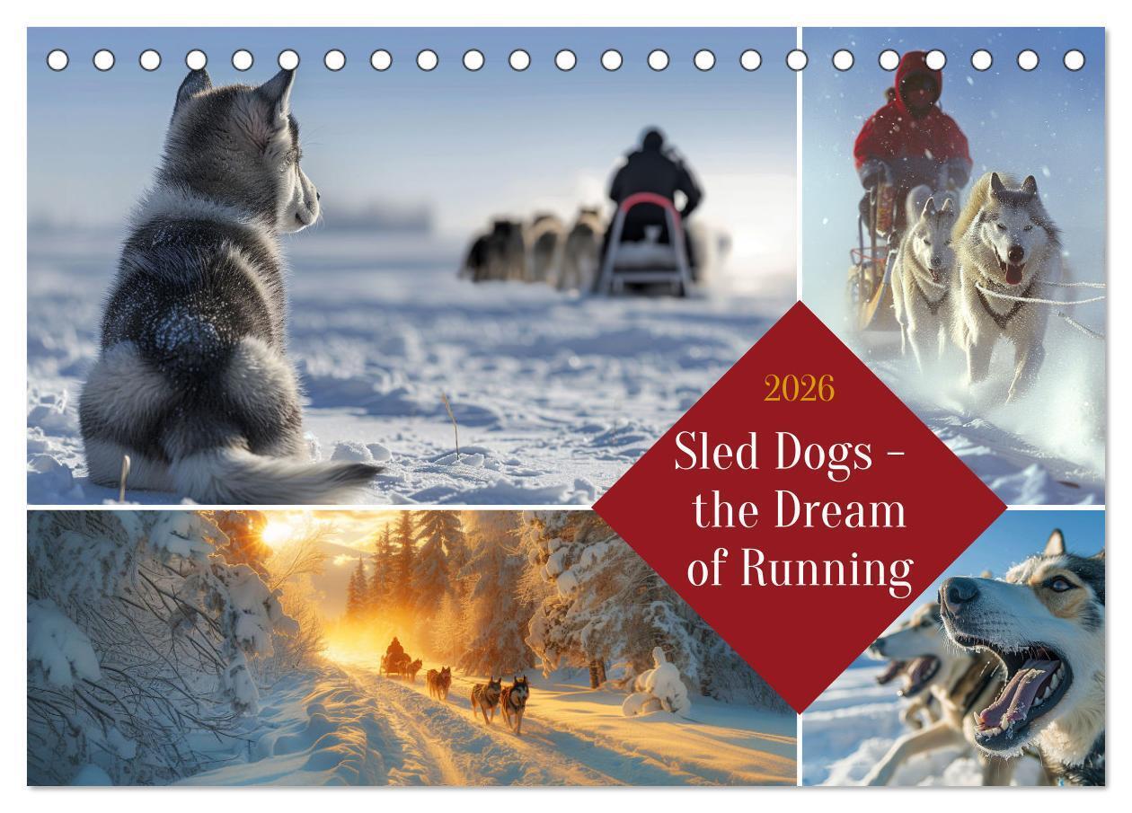 Sled Dogs - the Dream of Running (Desk Calendar 2026 DIN A5 landscape) CALVENDO 12 Month DeskCalendar