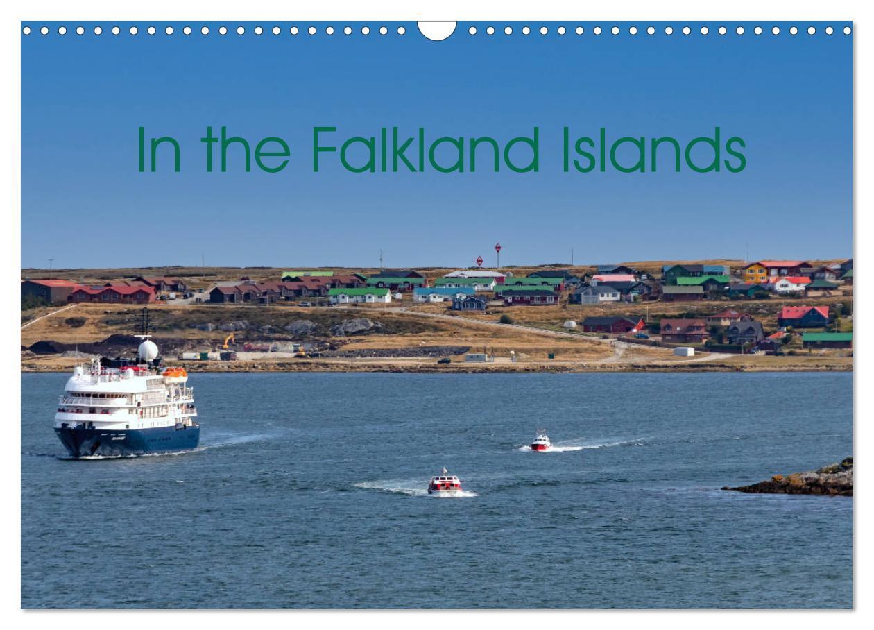 In the Falkland Islands (Wall Calendar 2026 DIN A3 landscape) CALVENDO 12 Month Wall Calendar