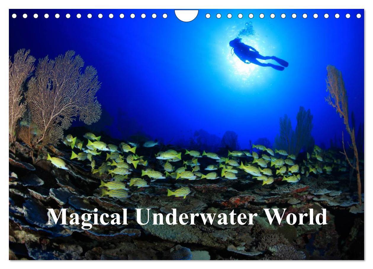 Magical Underwater World (Wall Calendar 2026 DIN A4 landscape) CALVENDO 12 Month Wall Calendar