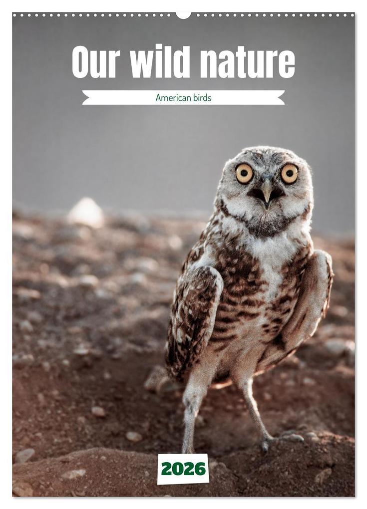 Our wild nature American birds (Wall Calendar 2026 DIN A2 portrait) CALVENDO 12 Month Wall Calendar